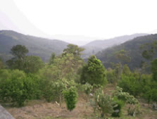 Pousada Sitio Waltinho Pousada Sitio Waltinho - Pousada Sitio Waltinho