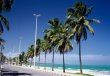Coqueiros exuberantes, clima tropical, praias paradisiacas, mar de aguas cristalinas, e sol o ano inteiro, acolhem os turistas em uma das paisagens mais encantadoras do Brasil. :: Pousada Coqueiral - Maceió - AL Coqueiros exuberantes, clima tropical, praias paradisiacas, mar de aguas cristalinas, e sol o ano inteiro, acolhem os turistas em uma das paisagens mais encantadoras do Brasil. :: Pousada Coqueiral - Maceió - AL