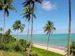 PRAIA DE CAMACHO :: Pousada Shalom Beach - Maragogi AL PRAIA DE CAMACHO :: Pousada Shalom Beach - Maragogi AL