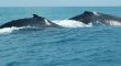 Pousada do Roballo - Porto Seguro BA Pousada do Roballo - Porto Seguro BA
