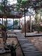 jardim