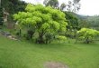 Pousada da Pedra Grande - Gonçalves MG Pousada da Pedra Grande - Gonçalves MG