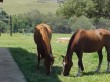 Pousada Chalé da Serra