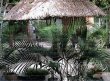 Pousada Brasil Tropical