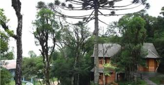 Pousada Floresta Negra