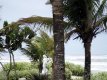 Praia a 300 metros :: Pousada Recanto do Sol Itanhaém - Itanhaém SP Praia a 300 metros :: Pousada Recanto do Sol Itanhaém - Itanhaém SP