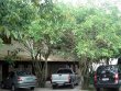 Pousada Ancoradouro Village
