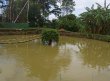Pousada Sitio Waltinho