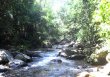 Cachoeirada Renata a 4 Km do Apto