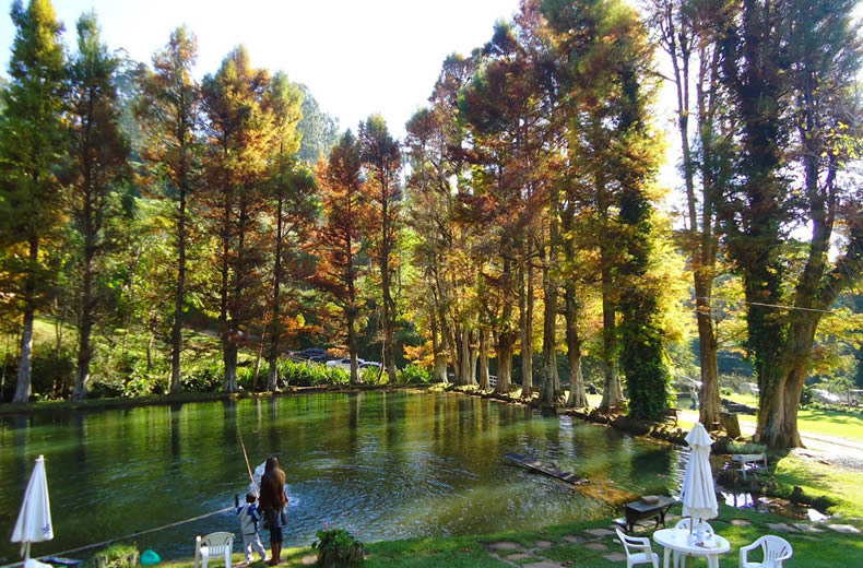 Pousadas em Santo Antonio do Pinhal SP