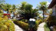 Jardim :: Bangalôs do Pontal - Foto 4 Jardim :: Bangalôs do Pontal - Foto 4