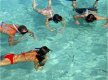 Maragogi faz parte da região conhecida como Costa dos Corais. Não podia ser diferente – Mar cristalino de cor azul, areias finas, coqueirais, recifes e piscinas naturais. Bem vindo ao paraíso! :: Pousada Costeira da Barra - Foto 12 Maragogi faz parte da região conhecida como Costa dos Corais. Não podia ser diferente – Mar cristalino de cor azul, areias finas, coqueirais, recifes e piscinas naturais. Bem vindo ao paraíso! :: Pousada Costeira da Barra - Foto 12