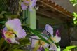 Pousada Nossa Senhora Aparecida - Foto 4 Pousada Nossa Senhora Aparecida - Foto 4