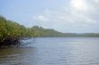 Passeio no mangue. Caminhada pela Trilha das Bromélias praia, mata e mangue. Duração meio dia.
:: Pousada Tembwa Surfaxé - Foto 6 Passeio no mangue. Caminhada pela Trilha das Bromélias praia, mata e mangue. Duração meio dia.
:: Pousada Tembwa Surfaxé - Foto 6
