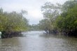 Passeio no mangue. Caminhada pela Trilha das Bromélias praia, mata e mangue. Duração meio dia.
:: Pousada Tembwa Surfaxé - Foto 5 Passeio no mangue. Caminhada pela Trilha das Bromélias praia, mata e mangue. Duração meio dia.
:: Pousada Tembwa Surfaxé - Foto 5