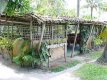 Pousada Cabanas Aruá - Foto 18 Pousada Cabanas Aruá - Foto 18