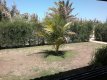 jardim :: Paraiso do Sol Hotel - Foto 4 jardim :: Paraiso do Sol Hotel - Foto 4