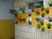 ESTE É O JARDIM INTERNO COM JARDIM SUSPENSO FEITO PELA PROPRIETÁRIA ROSI :: Pousada Luar da Praia - Foto 4 ESTE É O JARDIM INTERNO COM JARDIM SUSPENSO FEITO PELA PROPRIETÁRIA ROSI :: Pousada Luar da Praia - Foto 4