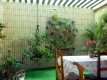 JARDIM INTERNO :: Pousada Luar da Praia - Foto 16 JARDIM INTERNO :: Pousada Luar da Praia - Foto 16