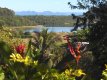 A natureza é linda e tem muitas cores! :: Pousada Camping Porto Grande - Foto 9 A natureza é linda e tem muitas cores! :: Pousada Camping Porto Grande - Foto 9