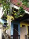 varanda do quarto 3 :: Casa do Val e da Thais - Foto 25 varanda do quarto 3 :: Casa do Val e da Thais - Foto 25