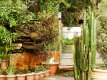 Eco Pousada Jardim do Eden - Foto 6 Eco Pousada Jardim do Eden - Foto 6
