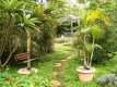 Eco Pousada Jardim do Eden - Foto 8 Eco Pousada Jardim do Eden - Foto 8