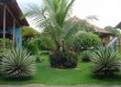 Jardim :: Pousada do Lajes - Foto 5 Jardim :: Pousada do Lajes - Foto 5