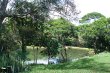 Pousada Bosque dos Lagos - Foto 6 Pousada Bosque dos Lagos - Foto 6