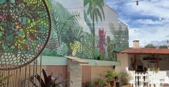 Foto Pousada Capim Limão