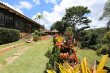 Jardim. :: Casa da Quineira - Foto 15 Jardim. :: Casa da Quineira - Foto 15