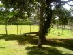 Pousada Jardim da Mata - Foto 7 Pousada Jardim da Mata - Foto 7