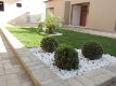 JARDIM PRACINHA :: Pousada seu Tião - Foto 10 JARDIM PRACINHA :: Pousada seu Tião - Foto 10