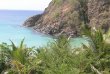Pousada Floresta e Mar - Foto 9 Pousada Floresta e Mar - Foto 9