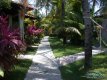 CAMINHOS DE ACESSO NO MEIO DO JARDIM :: Pousada Som das Ondas - Foto 7 CAMINHOS DE ACESSO NO MEIO DO JARDIM :: Pousada Som das Ondas - Foto 7