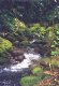 riacho da pousada :: Pousada da Cachoeira - Foto 12 riacho da pousada :: Pousada da Cachoeira - Foto 12