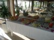 Cafe da manha muito completo, com variedades de friso panes e frutas. :: Pousada Aguazul - Foto 15 Cafe da manha muito completo, com variedades de friso panes e frutas. :: Pousada Aguazul - Foto 15