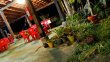 Pousada e Camping Bem Natural - Foto 7 Pousada e Camping Bem Natural - Foto 7