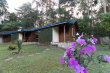 Flores :: Pousada Cabanas do Visconde - Foto 23 Flores :: Pousada Cabanas do Visconde - Foto 23