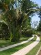 Jardim :: Pousada Santa Anna - Foto 11 Jardim :: Pousada Santa Anna - Foto 11