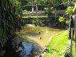 Lagoa entre os chalés triplo e quádruplo :: Pousada La Dolce Vita Paraty - Foto 10 Lagoa entre os chalés triplo e quádruplo :: Pousada La Dolce Vita Paraty - Foto 10