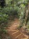 Trilha para o Poço das Andorinhas, cachoeira próxima à pousada :: Pousada La Dolce Vita Paraty - Foto 20 Trilha para o Poço das Andorinhas, cachoeira próxima à pousada :: Pousada La Dolce Vita Paraty - Foto 20