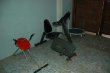 Pousada Aqui é Para-ti - Foto 17 Pousada Aqui é Para-ti - Foto 17