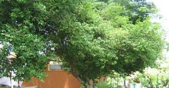 Foto Pousada Conviver