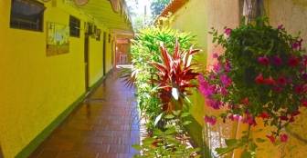 Confira fotos preços