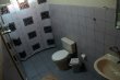 Este banheiro pertence o quarto Dália Rosa - Padrão dos quartos de baixo :: Pousada Flor Dália - Foto 13 Este banheiro pertence o quarto Dália Rosa - Padrão dos quartos de baixo :: Pousada Flor Dália - Foto 13