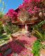 Lindas flores da nossa Bougainville enfeitando o jardim. :: Pousada Casa da Lagoa - Foto 20 Lindas flores da nossa Bougainville enfeitando o jardim. :: Pousada Casa da Lagoa - Foto 20