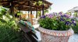 jardim :: Cabanas da Lua - Foto 18 jardim :: Cabanas da Lua - Foto 18