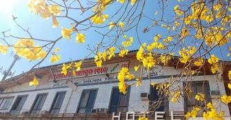 Foto Morada Manga Rosa