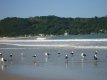 Praia da Ponta do Papagaio , tranquilidade , beleza e natureza . :: Pousada Maria Nicolau - Foto 14 Praia da Ponta do Papagaio , tranquilidade , beleza e natureza . :: Pousada Maria Nicolau - Foto 14